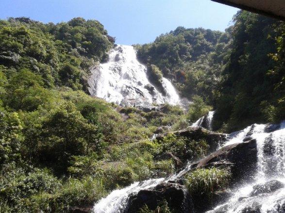 石油骚动