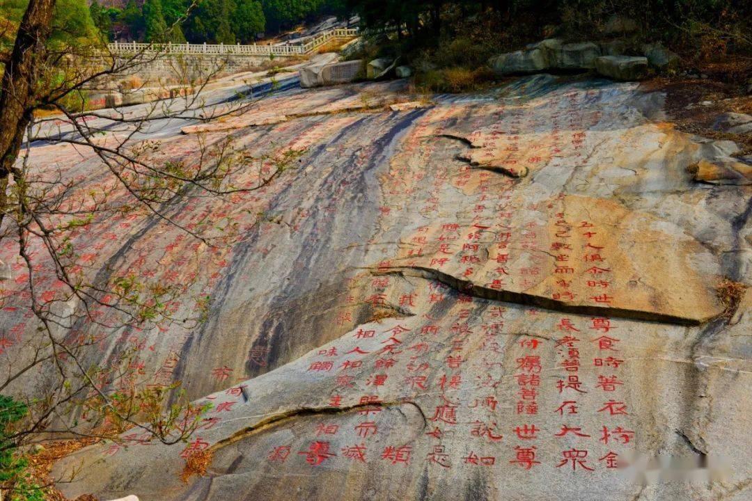 走基层、聚合力！遵化市开展“心系群众　情暖遵化”系列活动
